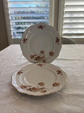 Mitterteich Bavaria "NORWAY ROSE" 10  Dinner Plate , Gold Trim, Set Of 2