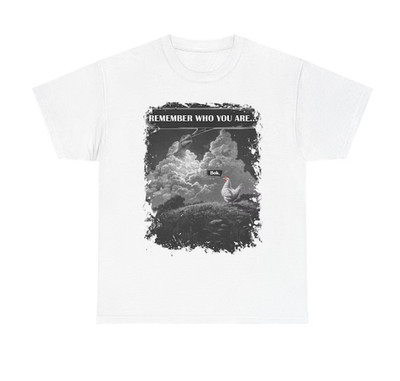 Remember Who You Are Shirt, Funny Evolution Joke Meme T-shirt
