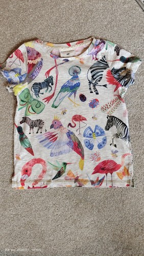 Paquete Para Niñas, Pantalones Cortos, Camiseta, Jersey - Imagen 3 de 11