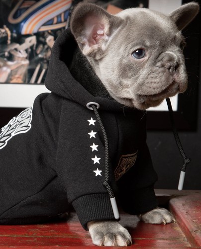Dixxon Flannel Company Dog Hoodie Sweater “Fur Family-Black” Size XL -NEW - Picture 6 of 7