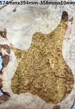 5A Figure Les Paul Guitar Drop Top Golden Camphor Wood Burl Set Luthier Supply