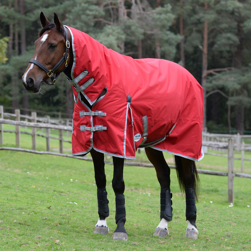 Weatherbeeta ComFiTec Classic Combo Neck Heavy Turnout Rug - Picture 27 of 29