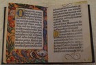 Bild 7 von 11