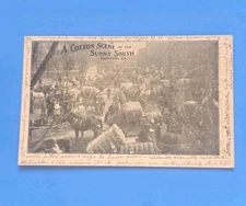 1909 Marietta GA Cotton Scene SUNNY SOUTH Postcard Vintage Early Horse Wagons!