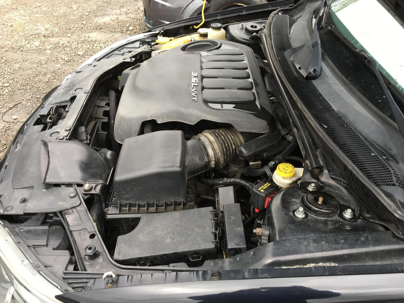 Picture 11 of 24