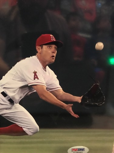 Peter Bourjos Signed Los Angeles Angels 8x10 Photo PSA - Picture 3 of 5