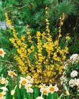 Foto 10 di 14