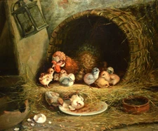 Antique chicken chicks Oil painting Picture Giclee Art Printed on canvas L2858