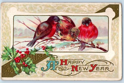 New Year Postcard Birds Holly Berries Winter Scene Embossed c1910's Antiquee