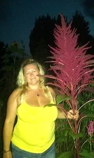 Neon Purple Amaranth!  25 Seeds  Heirloom! 8 FT TALL! Comb. S/H! 