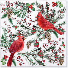 50Pcs Cardinal Bird Christmas Paper Napkins - 3-Ply Disposable Cocktail Napkin f