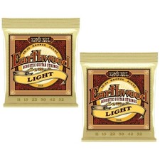 Ernie Ball Acoustic Guitar Strings Earthwood Light 80/20 Bronze P02004 2pk