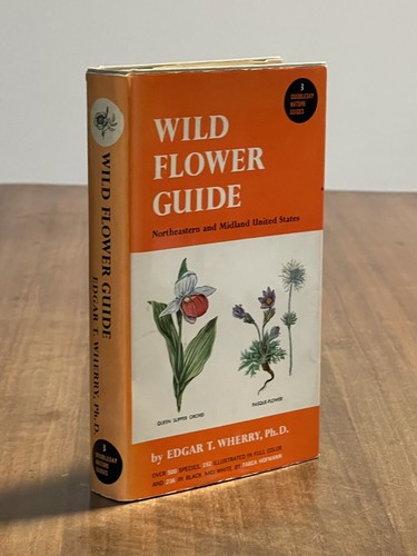 Wild Flower Guide: Northeastern and Midland U.S. By Edgar T. Wherry (1948, HC) - Bild 5 von 15