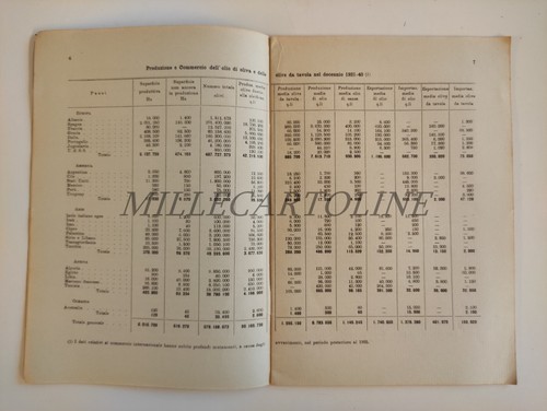PRODUZIONE & COMMERCIO OLIO DI OLIVA MEDITERRANEO - Pavoncelli Firenze 1942 - 第 4/5 張圖片