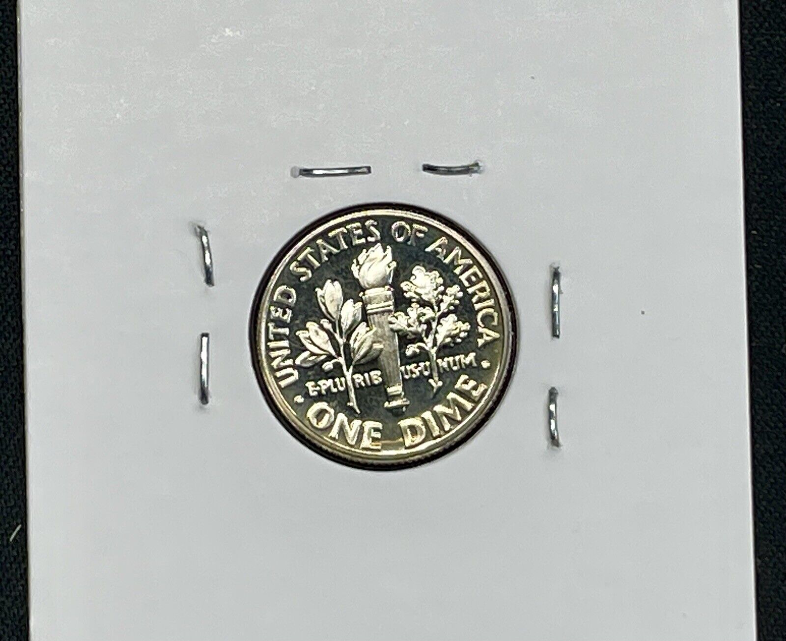 Picture 19 of 19
