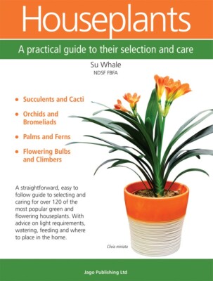 Houseplants 