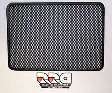 Kawasaki ZX10 2004-2005 Racing Radiator Guard ZX10r
