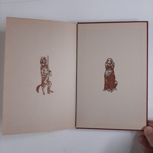 THE COMPLETE IRISH SETTER 1949 Milo Denlinger 1st Edition HC book RC4 - 第 8/12 張圖片