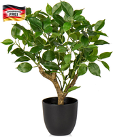 Kunstpflanze Ficus 43Cm Pflegeleicht FüR Wohnzimmer Fensterbank Dekoration