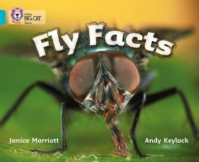 Fly Facts: An informative picture book that presents a larger than life look at