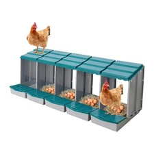 Chicken Laying Box Modern 5-Compartment Chicken Nesting Box with Egg Collection