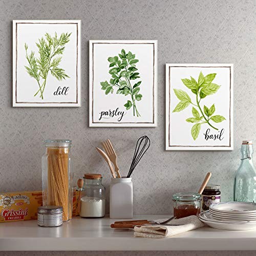 The Stupell Home Décor Collezione Acquerello Erbe Illustrazione Aneto Dipinto... - Foto 6 di 6