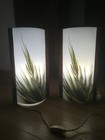Foto 2 di 8