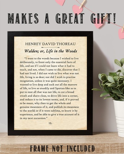 Thoreau - Walden I Went To The Woods - 11x14 ungerahmte Typografie Buchseite Druck - Bild 4 von 8