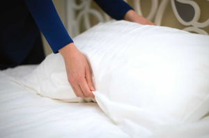 bluestone maternity pillow