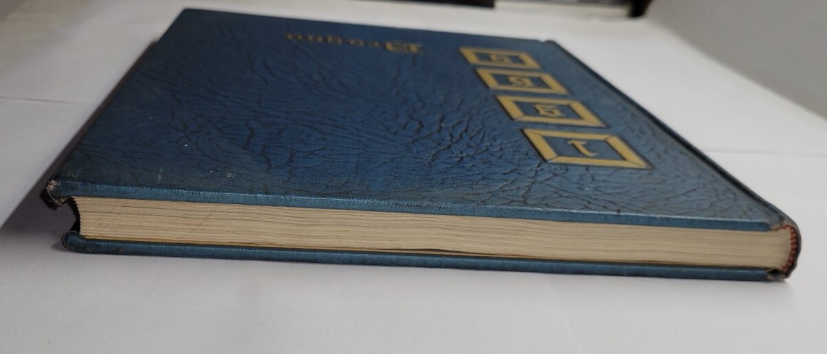 1969 Dewitt Arkansas High School Dragons Yearbook Annual eBay