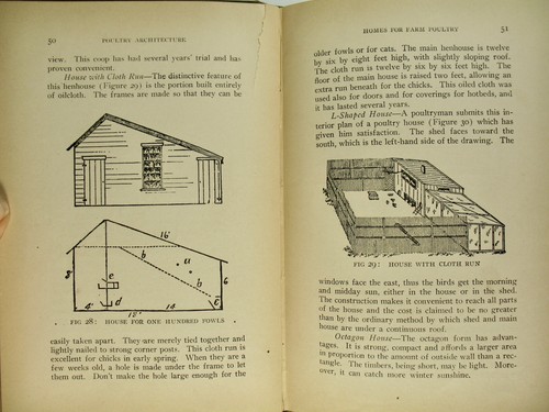 1910 Poultry Architecture Raising Chickens Eggs Coops Farming Fiske Illustrated - Picture 6 of 15