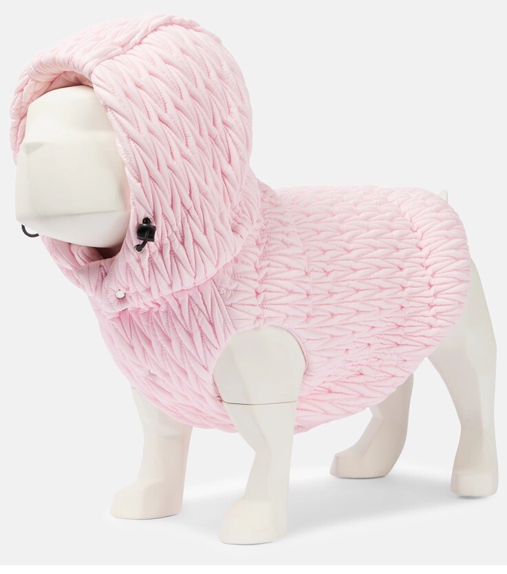Miu Miu Matelasse Pink Hooded Dog Coat Size S NIB | eBay