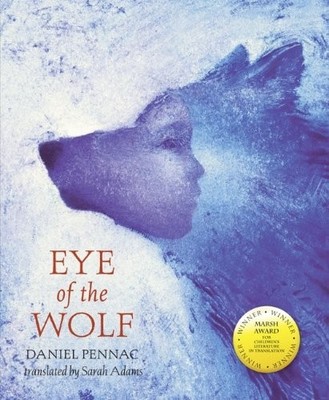Literacy Evolve: Year 6 Eye of the Wolf