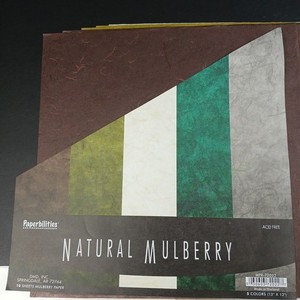 Paperbilities 12x12 Natural Mulberry Paper 10 Sheets (5 Colors)