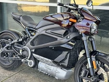 2022 LiveWire™ LiveWire ONE 