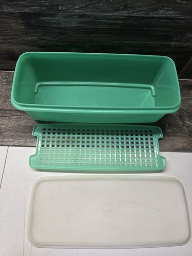 Tupperware Sellerie Gemüsebehälter Knusper 782-8 mit Deckel & Einsatz jaditgrün