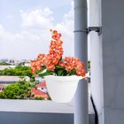 Foto 7 di 12