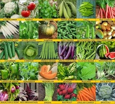 30 Varieties of Vegetable Seeds 1910+ High Germination Seeds for Kitchen Garden