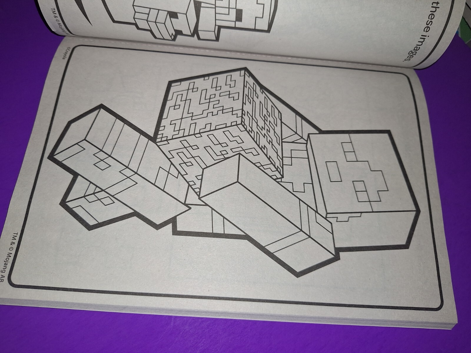Picture 9 of 11