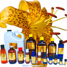 Citronella Oil 100 pure Sizes from 3ml to 1 Gallon Free Shipping