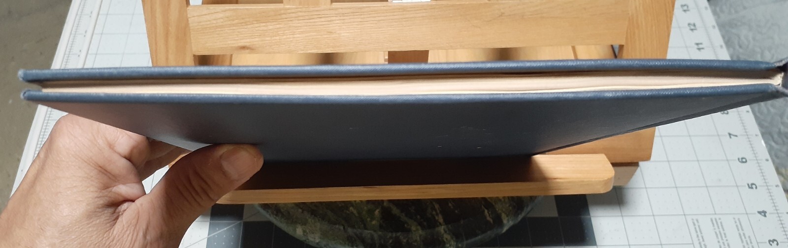Picture 5 of 19