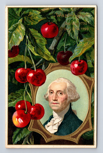 WINSCH Patriotic Lush George Washington Birthday Cherries North East PA Postcard