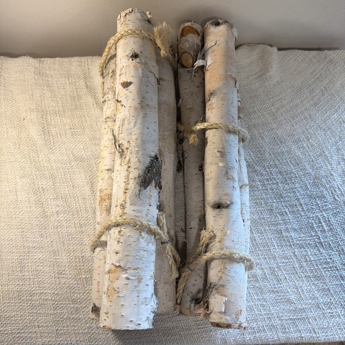 6 Birch Wood Logs Decorative 16”