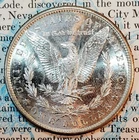 * 1881 S * BU MS++ FROSTY MINT FRESH ALL ORIGINAL MORGAN SILVER DOLLAR #A7