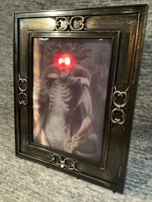 Gemmy Halloween 15 X 12 Haunted Talking Portrait Face Skull Red Eyes Rare Nib Ebay