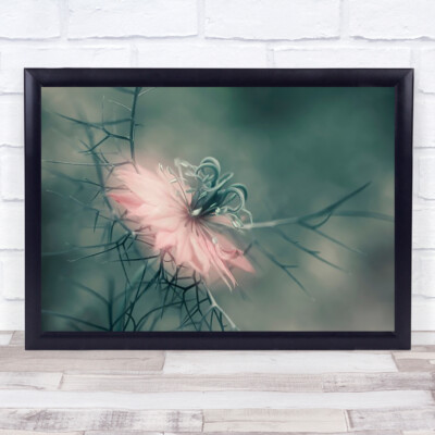 Die Jungfrau Blume Bokeh rosa weich Garten Wandkunstdruck