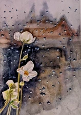 Watercolor Painting White Flowers Rainy Window  A4 Romantic Urban Wall Art