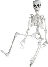 3 Ft Skeletons for Halloween, 36 Inch Life Size Skeleton with Full Body Posable