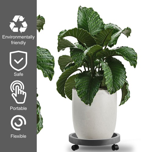 Planter le moins cher Trolley Flowerpot Stand Round Plant Roller Plant Pot