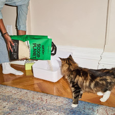 Katkin Scoop Planet Litter (1X4.5Kg/12.8L Bag): Katkin
